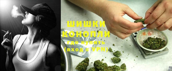 гашик Инсар