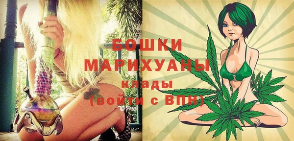 СК Зерноград