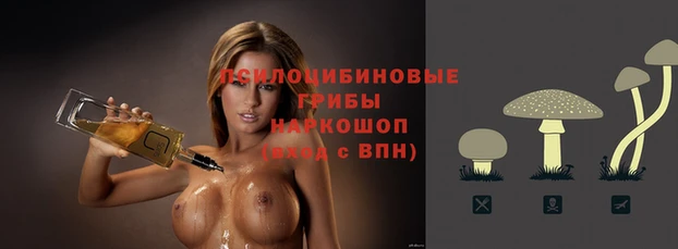 СК Зерноград