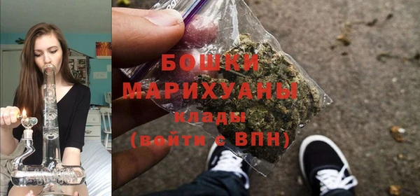 СК Зерноград