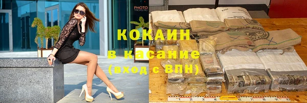 СК Зерноград