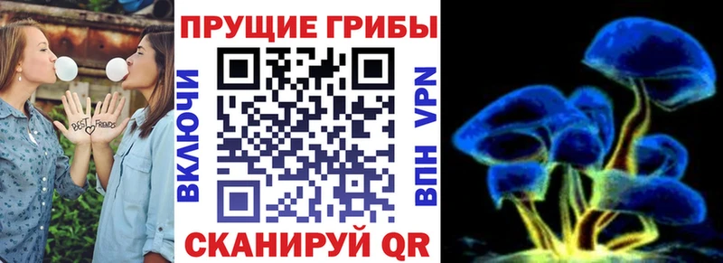 Купить  Белорецк  Галлюциногенные грибы Psilocybine cubensis 